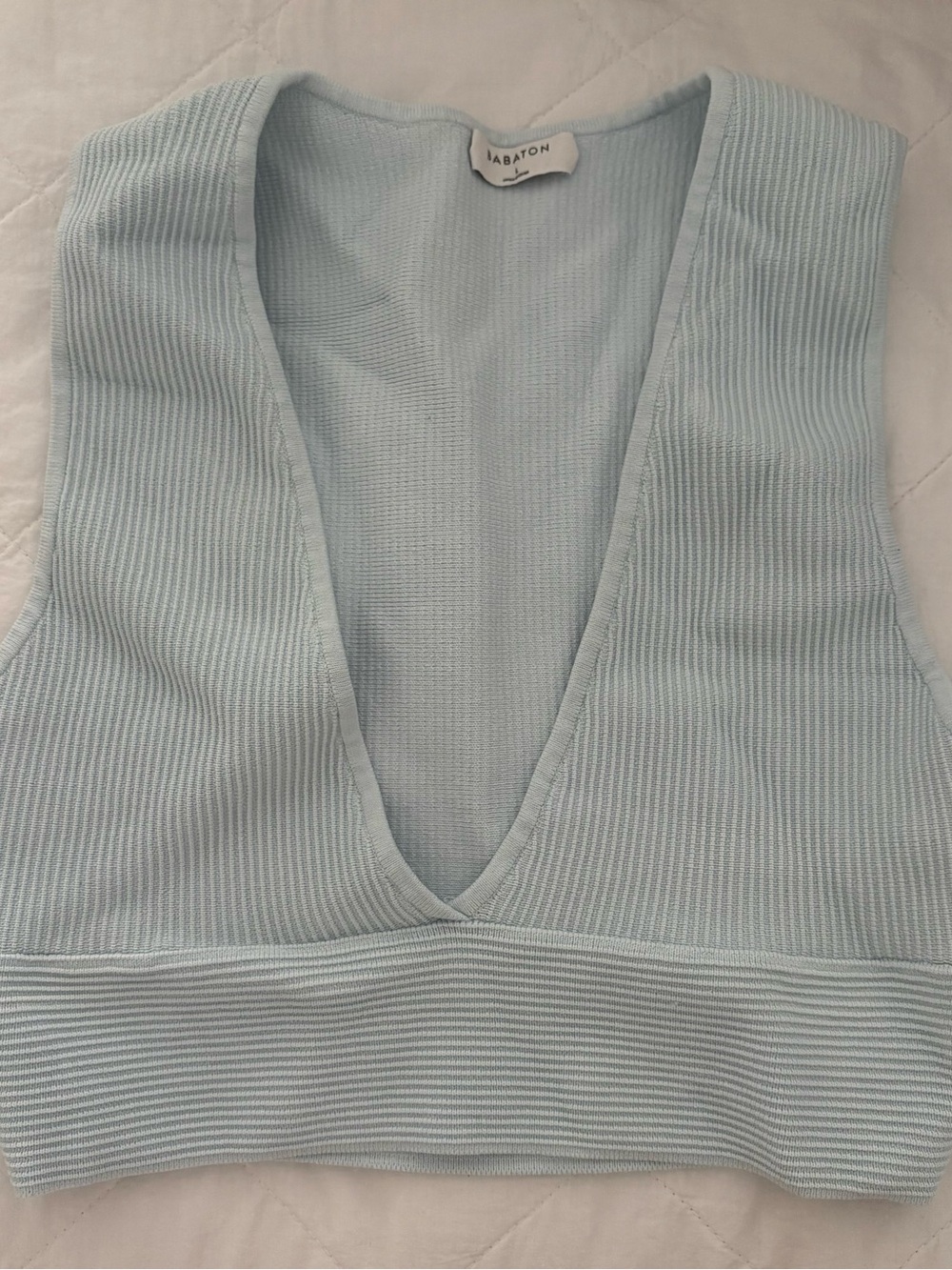 Babaton Soft Sky Ribbed V-Neck Knit Top